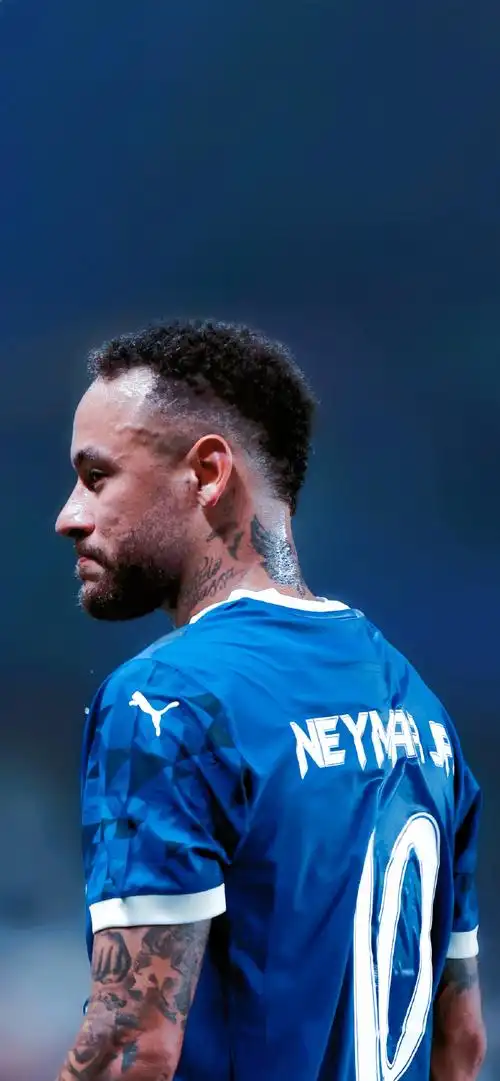 鲍曼的救援 鲍曼的救援