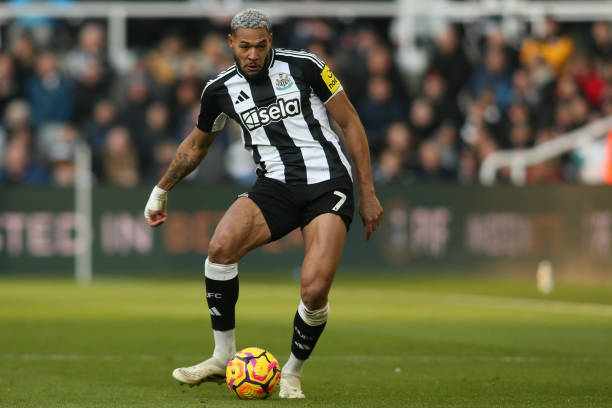 的球员加盟 的球员加盟