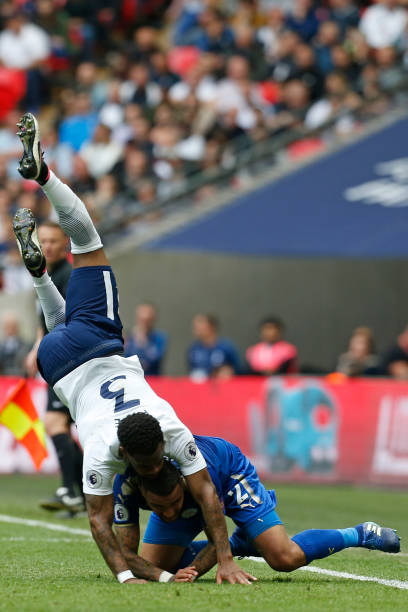 费兰与尼科 费兰与尼科