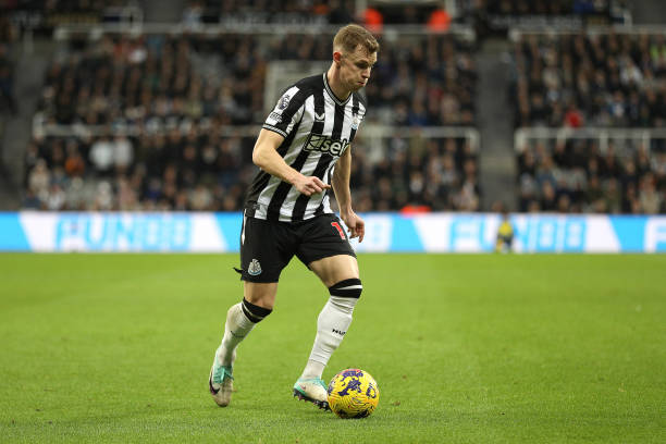 情感纽带 情感纽带